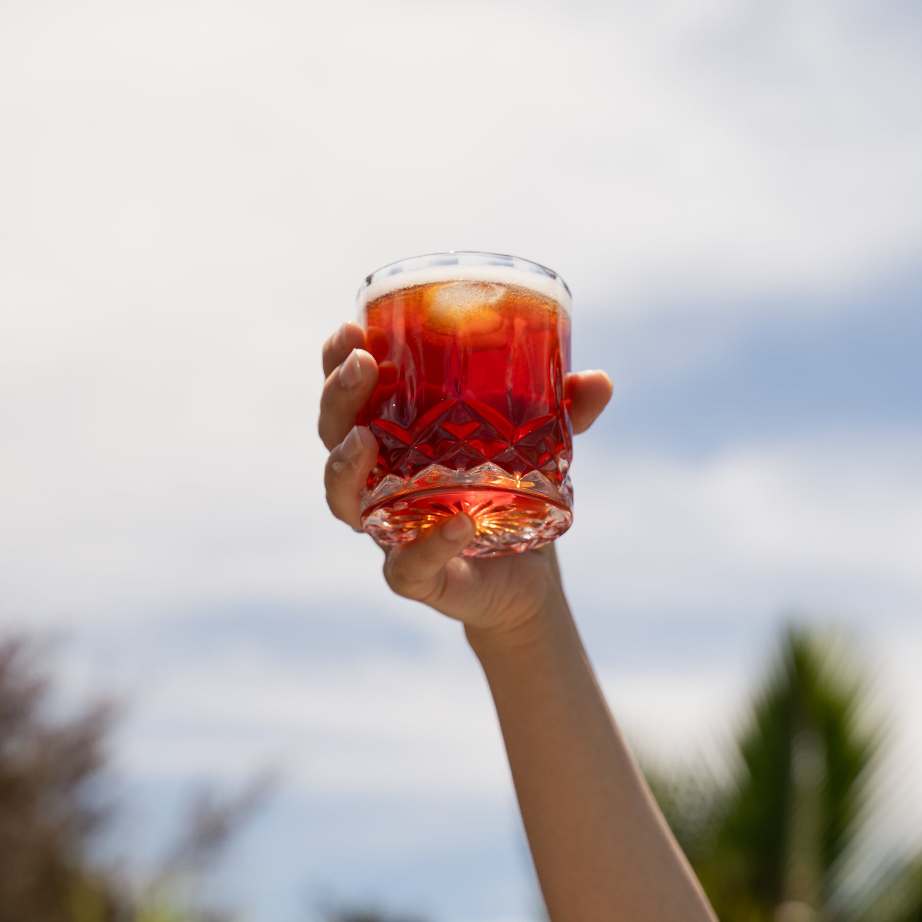 Negroni